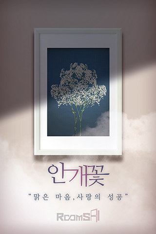 안개꽃 포스터
