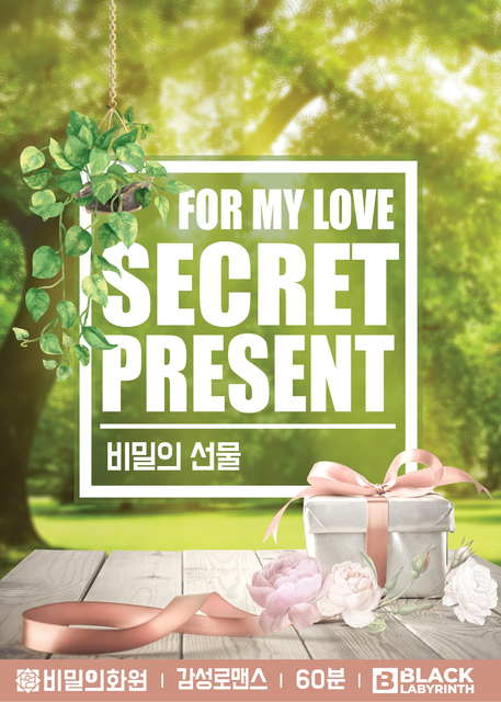 비밀의 선물 포스터