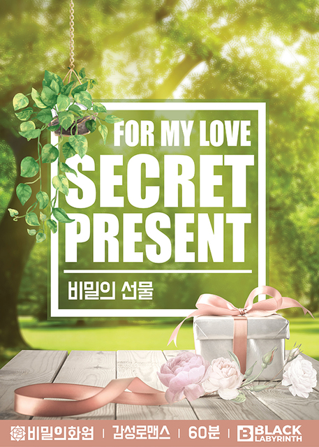 비밀의 선물 포스터