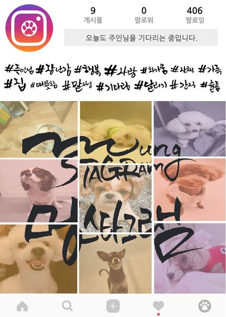 멍스타그램 포스터