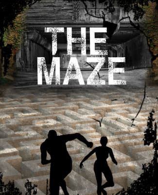 The Maze 포스터