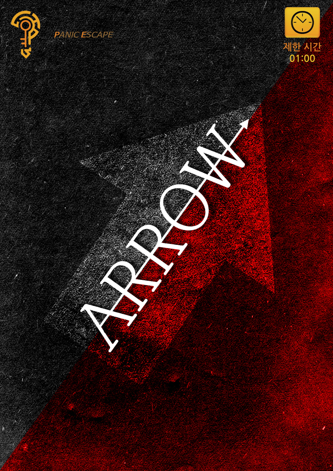 ARROW 포스터